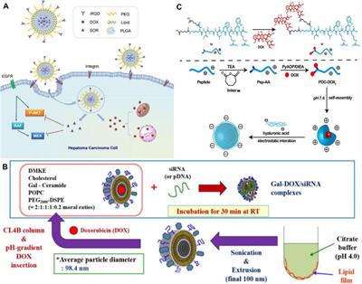 The application of nanomedicine in clinical settings